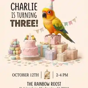 Tropical Parrot Birthday Invitation Template